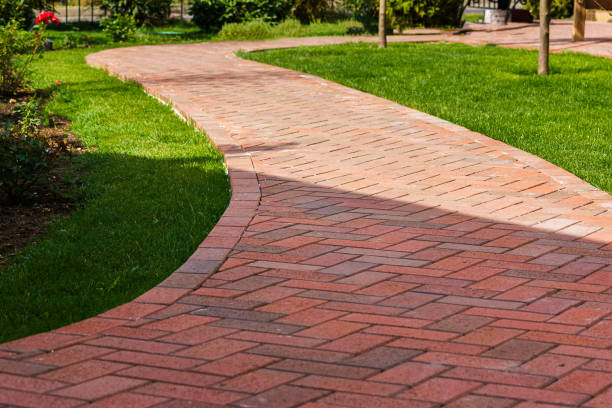 Best Driveway Paving Near Me  in Buena, NJ